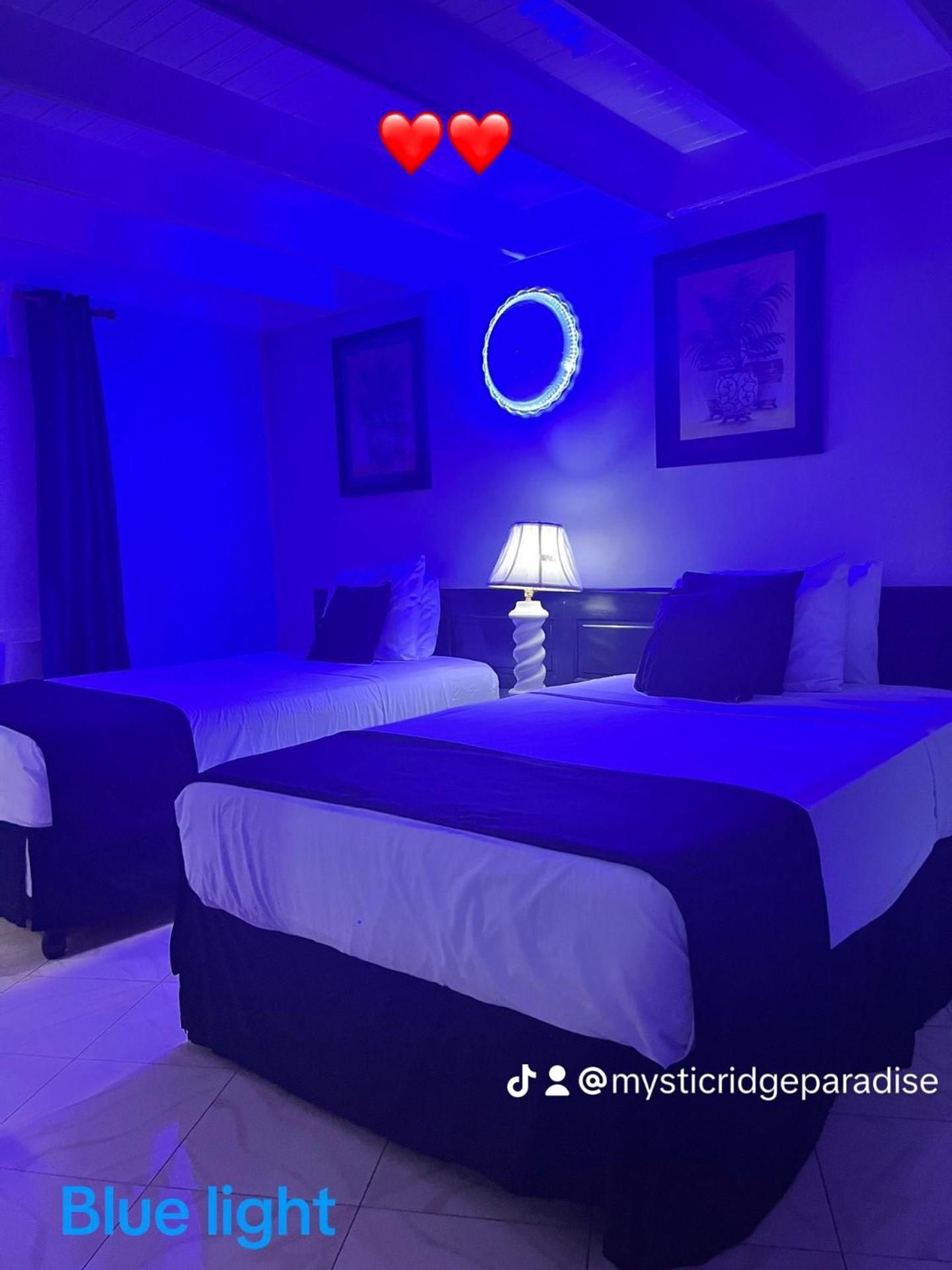 Mystic Ridge Paradise Ocho Rios Bagian luar foto